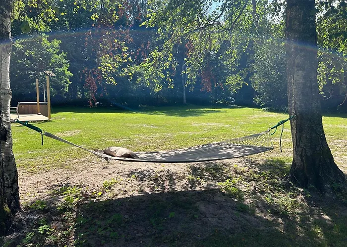 Merineitsi Сasa de vacaciones